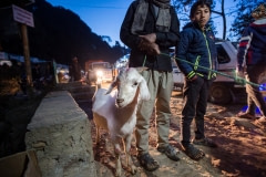 The road to Dakshinkali temple, where animals are used in religious sacrifice. Nepal, 2017.