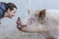 Friends at Farm Sanctuary. USA, 2014.