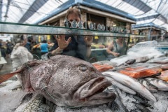 Fish market. Israel, 2018.