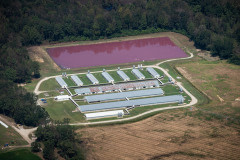 Aerial views of CAFO (Concentrated Animal Feeding Operations) farms. North Carolina, USA.