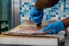 Cleaning and scaling fish in a fish slaughterhouse.