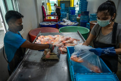 Workers at a fish farm in Thailand weigh and pack fresh red hybrid tilapia that have recently been slaughtered by "live chilling".