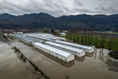 Aerial view of a large chicken farm in Abbotsford, BC. The barns sit partially submerged in the floodwaters.