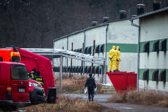 Workers wearing protective suits stand on top of a dumpster outside the barns at an egg farm near Prague in Czechia. The workers are at the farm to kill and remove the hens from the farm, where an outbreak of the H5N1 bird flu virus has been detected. Czechia, 2021. Lukas Vincour / Zvířata Nejíme / We Animals Media