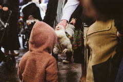 A child and a chicken make eye contact during the frenzy of Kaporos. USA, 2022. Victoria de Martigny / We Animals Media