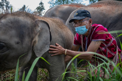 Elephant Freedom Village elephant keeper Dodekho Saono, with two-year-old Sierra.