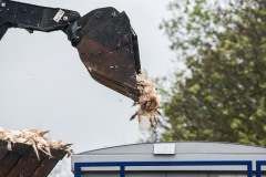 A tractor dumps a load of dead turkeys into a truck during a disposal operation at a farm with an avian influenza (H5N1) outbreak. United Kingdom, 2022. Ed Shephard / Generation Vegan / We Animals Media