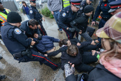 Police break up a peaceful protest outside a slaughterhouse in Toronto.