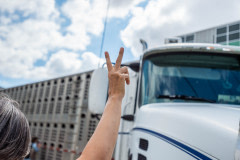 Anita Krajnc holds fingers in a peace sign as she attempts to stop a transport truck for a few minutes during an Animal Save Movement vigil.