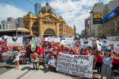 March to End Slaughterhouses. Australia, 2017.