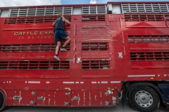 Eyes on Animals founder Lesley Moffat inspects a transport truck. Turkey, 2018.