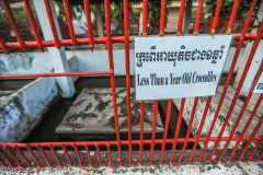 Crocodiles, less than a year old, at a crocodile farm. Cambodia, 2011.