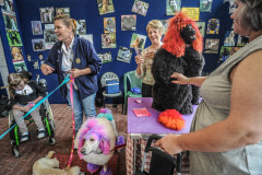 Poodle hair designs at an animal fair.