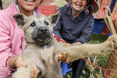 A puppy being sold as food at the Bac Ha market.