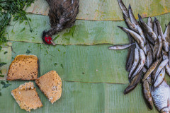 Bird, fish, honey at the Luang Prabang market.