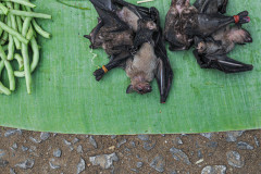 Bats and produceat the Luang Prabang market.