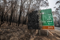 Burned forest and road sign in Mallacoota. This area was devastated by the fires one month ago, leaving much of the native wildlife suffering from traumatic injuries and at risk of starvation due to loss of habitat.