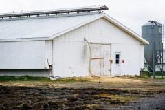 A hose hangs from the back of a barn at Brome Lake Ducks' Lac-Brome facility in Quebec. Canada, 2022. Victoria de Martigny / We Animals Media