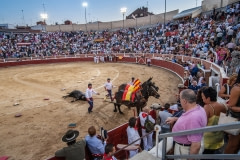 Once the bull is defeated though not yet necessarily dead, he is dragged through the arena by his horns to the matadero. Spain, 2009.