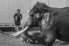 Luke, being bathed before performing. Canada, 2006.