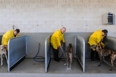 Post-race bathing. Australia, 2010.