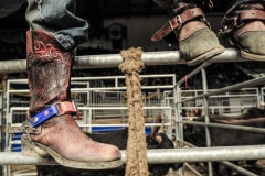 Leather boots. The rodeo at the Royal Agricultural Winter Fair. Canada, 2007.