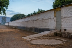 A broiler farm. Mexico, 2018.