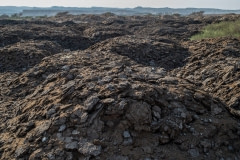 Quarantine yards where animal carcasses and waste are improperly disposed. Israel, 2018.