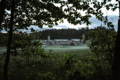 An egg factory farm. Sweden, 2012.