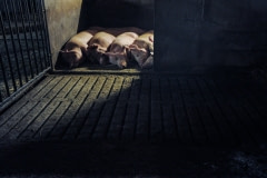 Pigs asleep at a factory farm. Sweden, 2009.