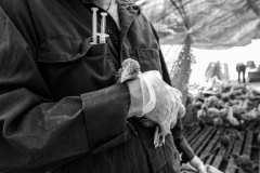 An OSPCA investigation into cruelty and neglect at a factory farm. Canada, 2006.