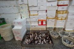 Fish for sale at a market. Taiwan, 2019.