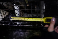 An 8 inch-wide mink cage. Canada, 2014.