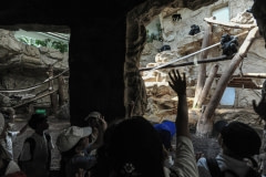 Tourists view chimpanzees in a zoo. Poland, 2012.