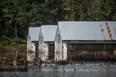 Industrial farm surrounded by flood water. North Carolina, USA.
