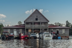 Horses take refuge on a raised porch, surrounded by flood waters. North Carolina, USA.