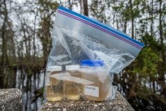 Water samples to be tested from a river affected by Hurricane Florence. North Carolina, USA.