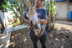 A farmer showing his product at a macaque breeding facility. Laos, 2011.
