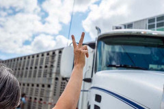 Anita Krajnc holds fingers in a peace sign as she attempts to stop a transport truck for a few minutes during a Save Movement vigil. Canada, 2015.