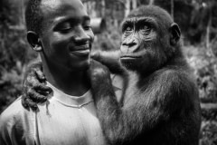 Thierry with  a juvenile gorilla, rescued from the bushmeat trade. Cameroon, 2009.