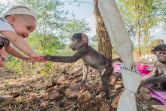 New friends, at C.A.R.E. Sanctuary. South Africa, 2016.