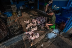 Chopping heads. Thailand, 2019.