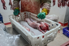 Rabbit slaughterhouse. Spain, 2013.