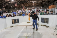 Snake attack demonstration. USA, 2015.