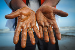 Greenpeace biologist and oil expert Paul Horsman displays his oil-covered hands. Southwest passage of the Mississippi Delta.