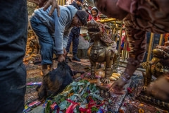 Dakshinkali temple, where animals are used in religious sacrifice. Nepal, 2017.