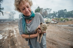 Cora Bailey rescuing a sick piglet at the Randfontein Dump. South Africa, 2016.