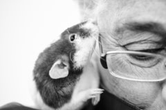 Dr. Theodora Capaldo with a rescued rat. USA, 2014.