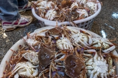 Baskets of crabs for sale at a wet market in Taiwan.