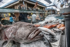 Fish market. Israel, 2018.-2743
